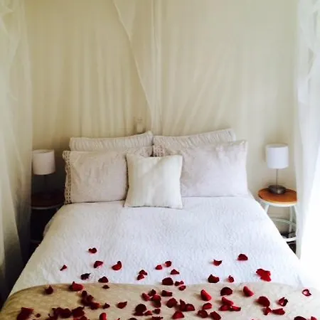 Trendy Vondel Retreat Amsterdam