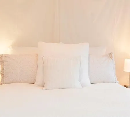 Trendy Vondel Retreat